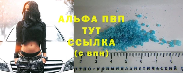 сатива Абинск