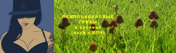 сатива Абинск