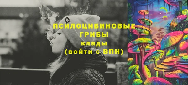 гидра Щучье